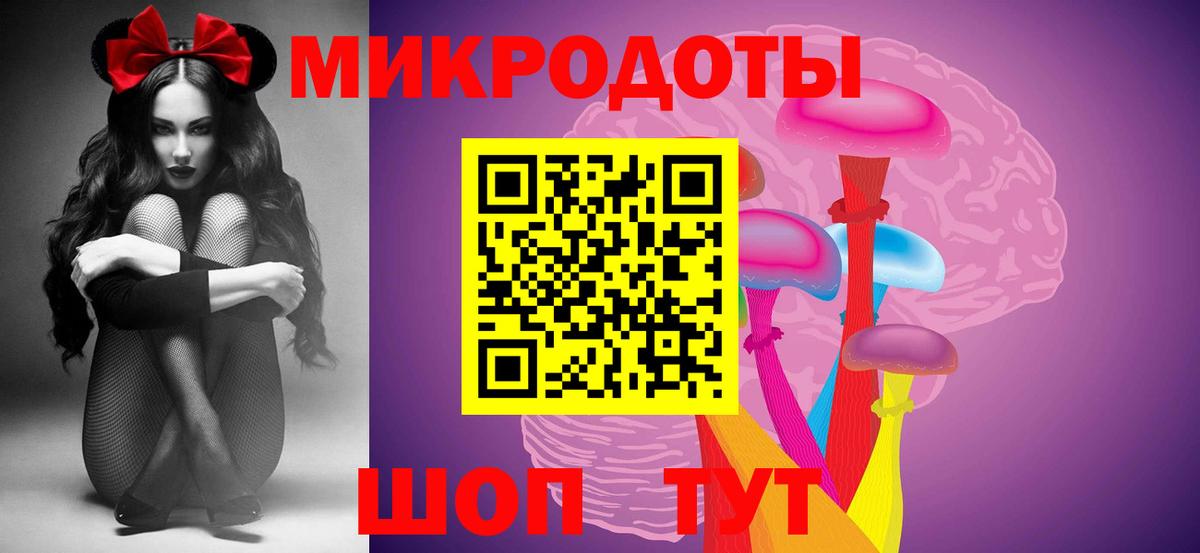 ГАШ Рассказово