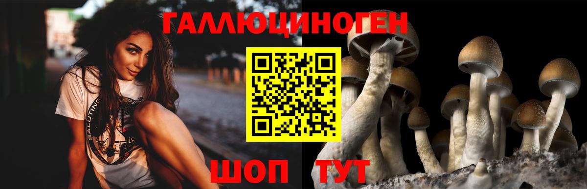 Галлюциногенные грибы мицелий  Вход с VPN  Рассказово 